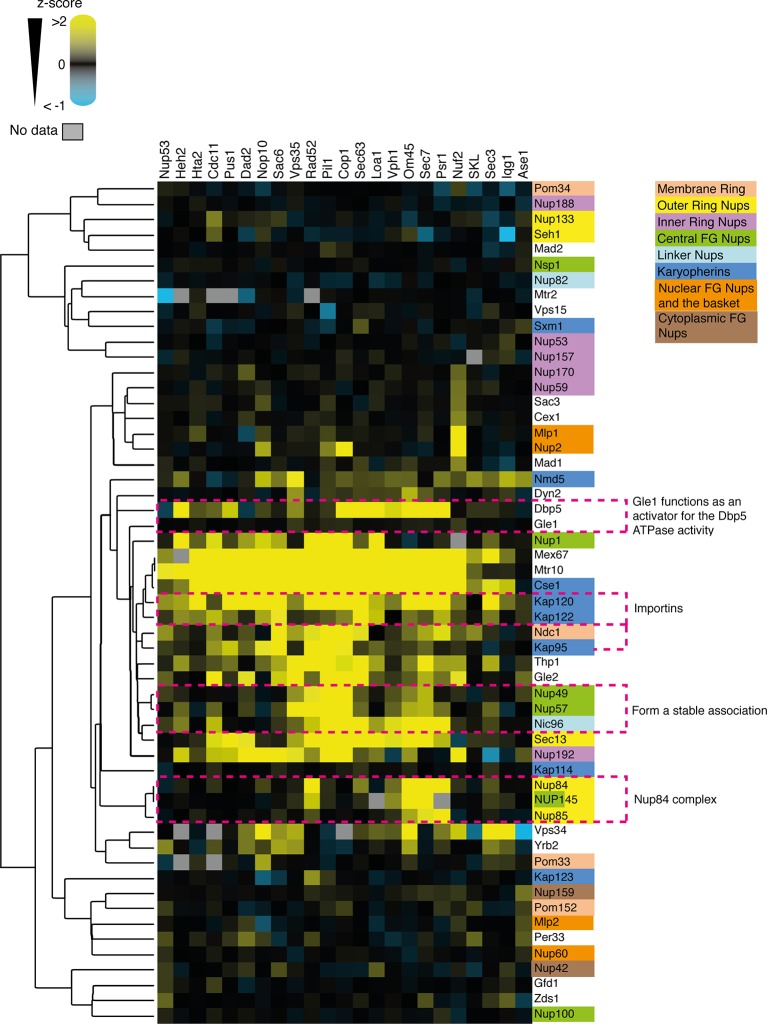 Figure 6—figure supplement 1.