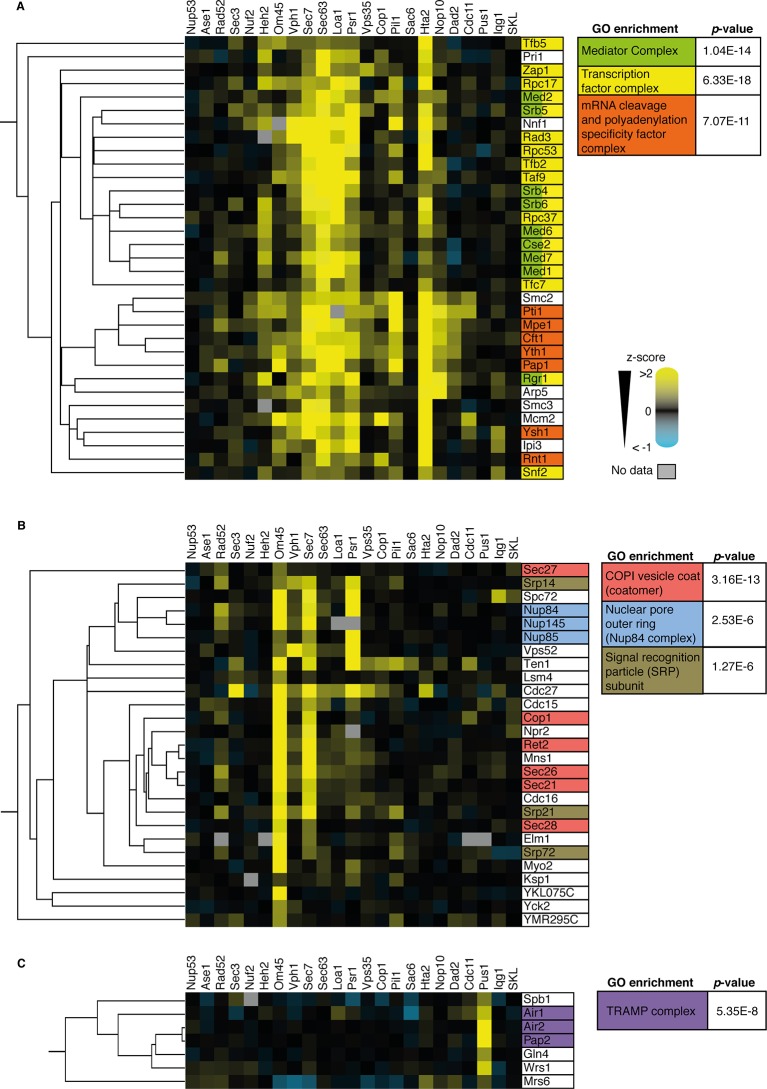 Figure 4—figure supplement 6.