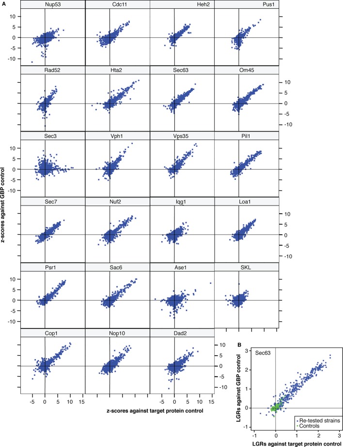 Figure 1—figure supplement 1.