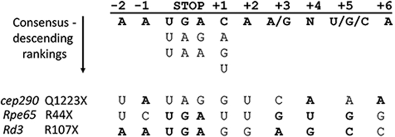 Figure 8.