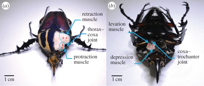 Figure 1.