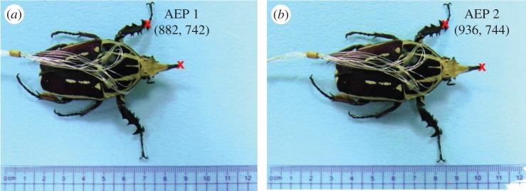 Figure 4.