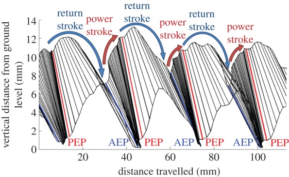 Figure 5.