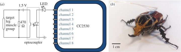 Figure 3.