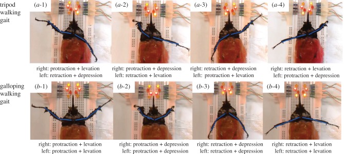 Figure 7.