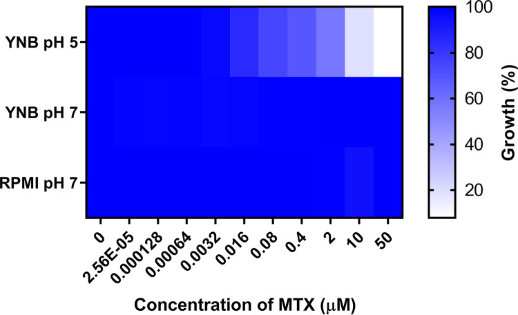 FIG 6