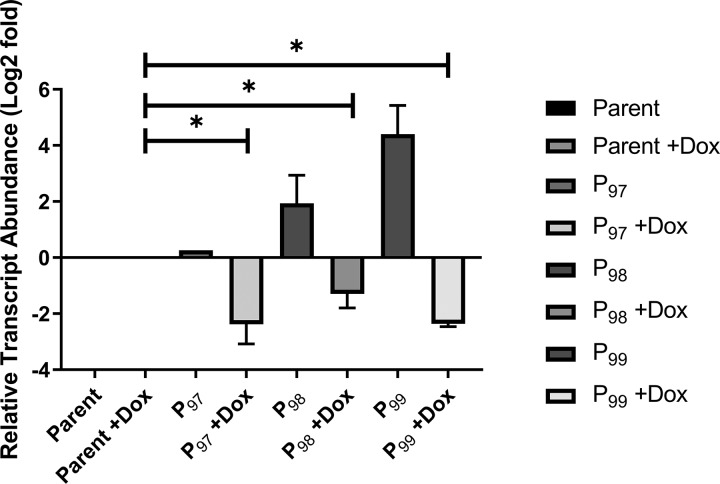 FIG 1