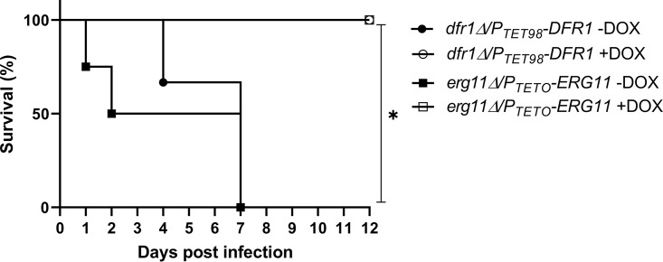 FIG 5