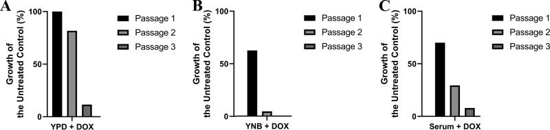 FIG 2