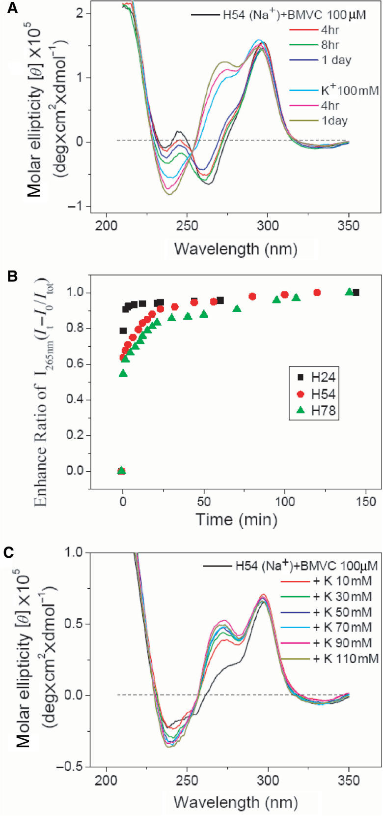 Figure 9.