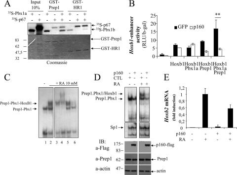 FIG. 4.