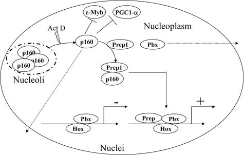 FIG. 7.