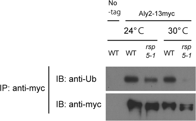 FIG. 5.