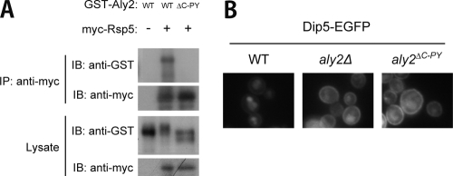 FIG. 4.