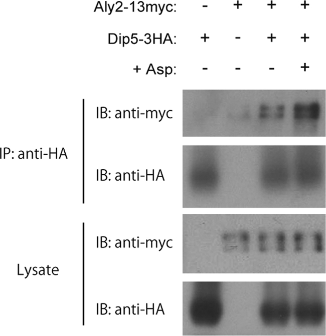 FIG. 6.