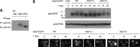 FIG. 7.