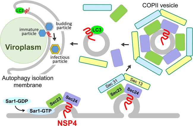 FIG 11