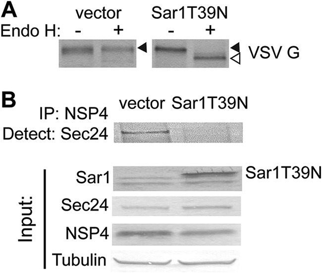 FIG 4