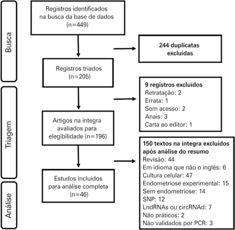 Figura 1