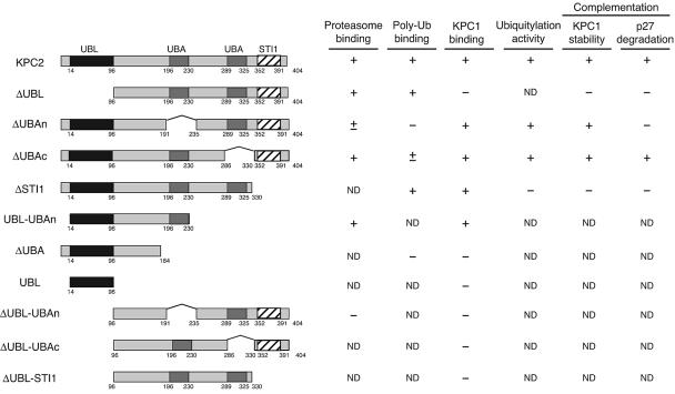 FIG. 7.