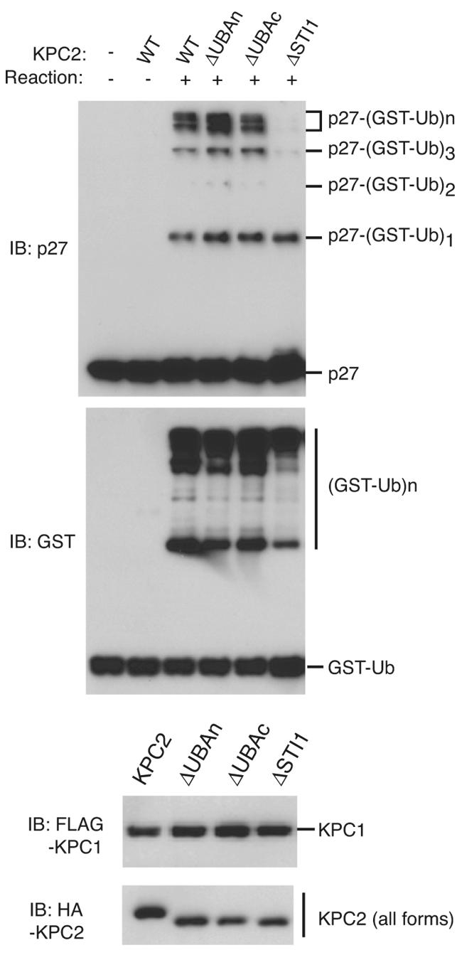 FIG. 5.