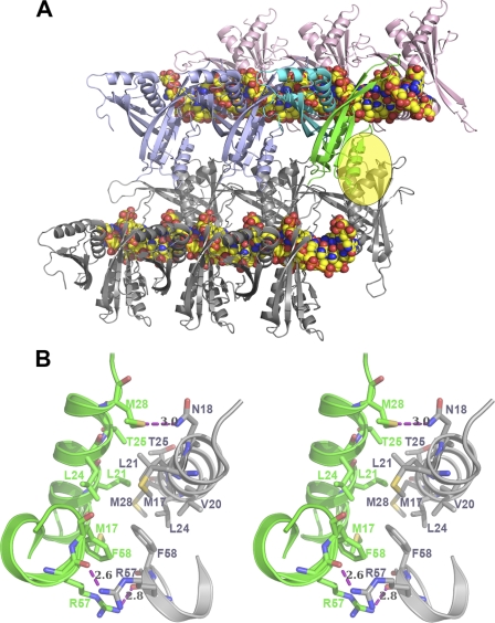 FIGURE 3.