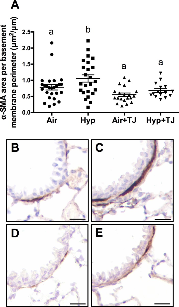 Fig 7