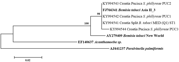 Figure 7