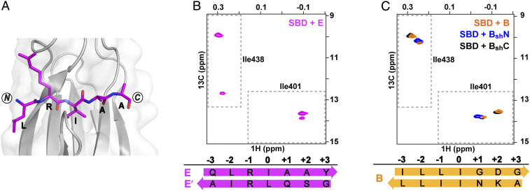 Fig. 5.