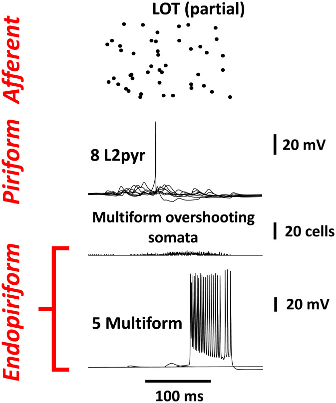 Fig. 4.