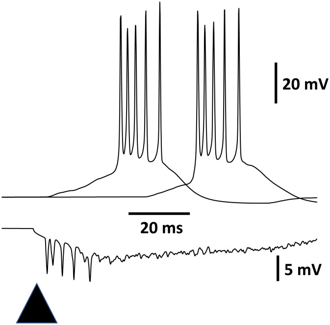 Fig. 2.