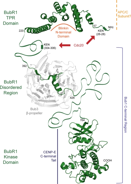 FIGURE 7.