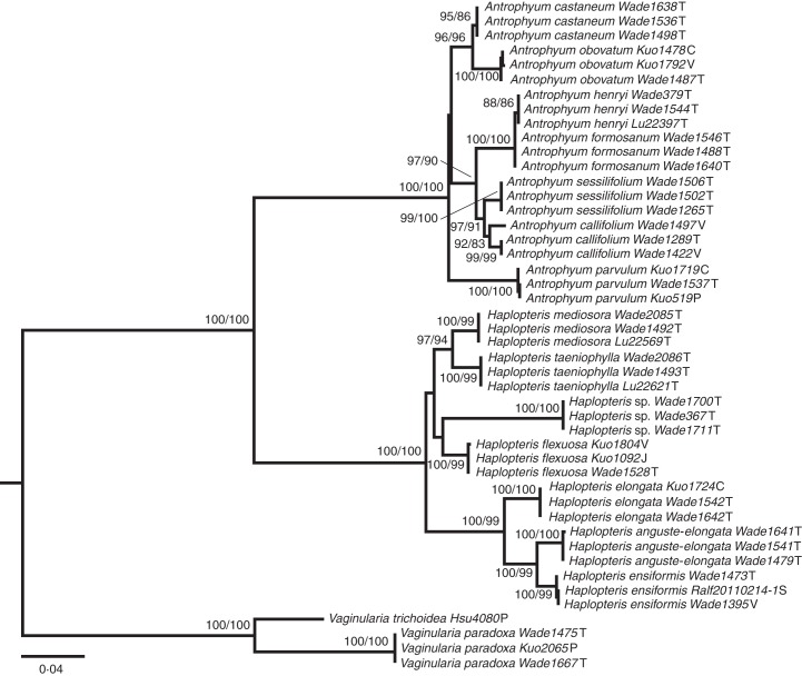 Fig. 3.