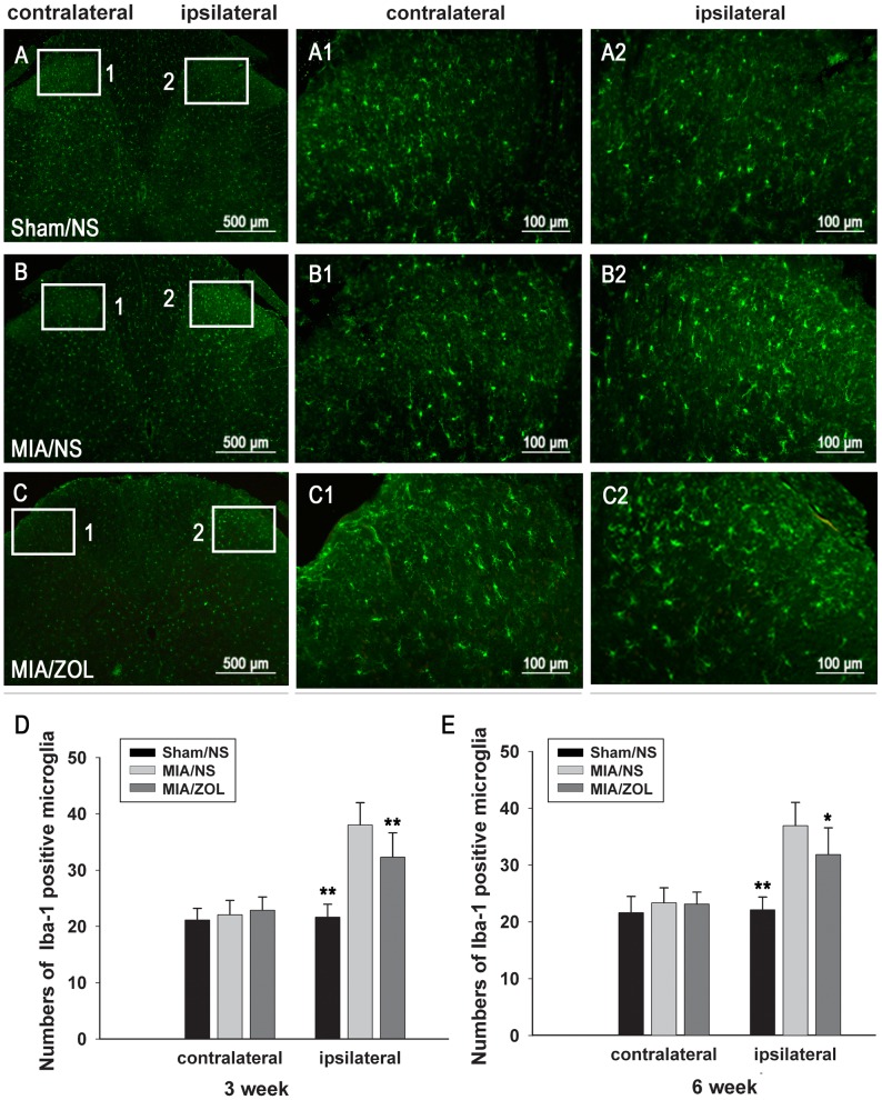 Figure 6