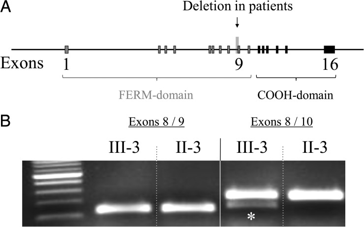 Fig. 3.