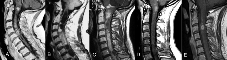 Fig. 2.