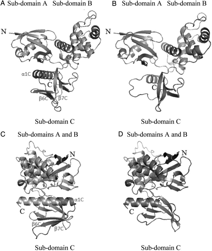 Fig. 4.