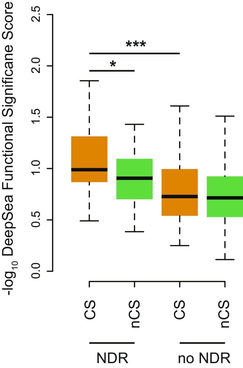 Fig. S11.