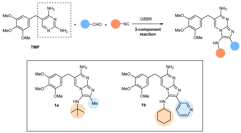 Scheme 1