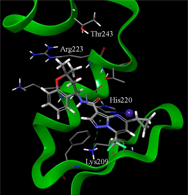 Figure 6