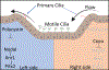 Figure 5: