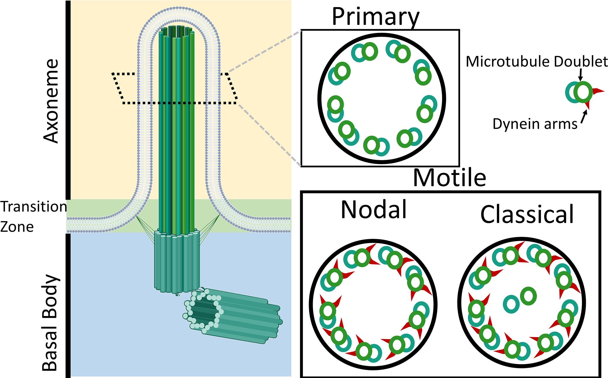 Figure 1: