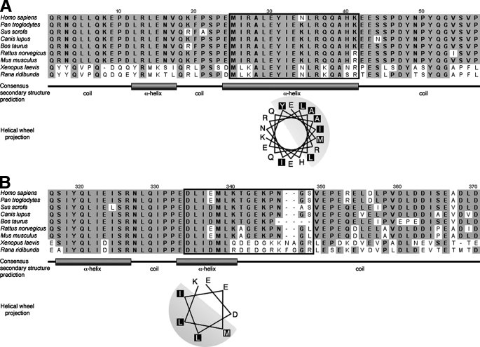 FIGURE 11.