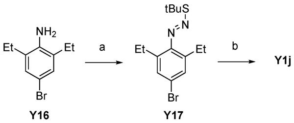 Scheme 6