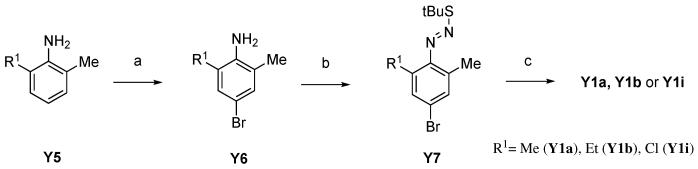 Scheme 2