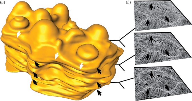 Figure 5.