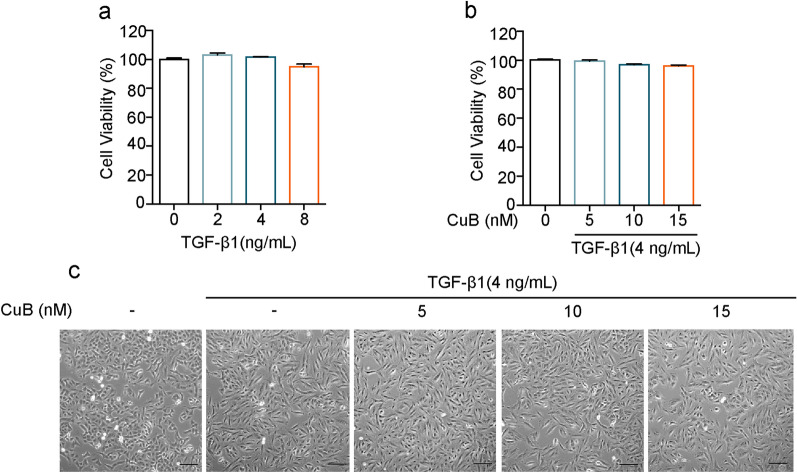 Fig.1