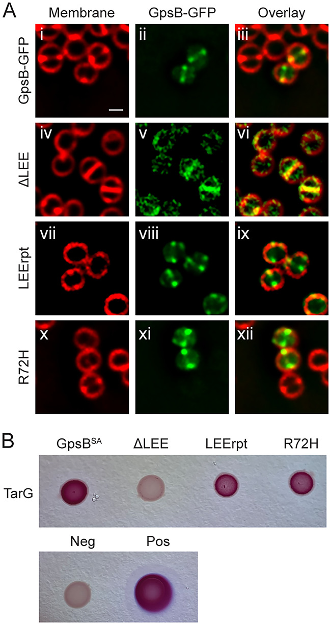 FIG 6