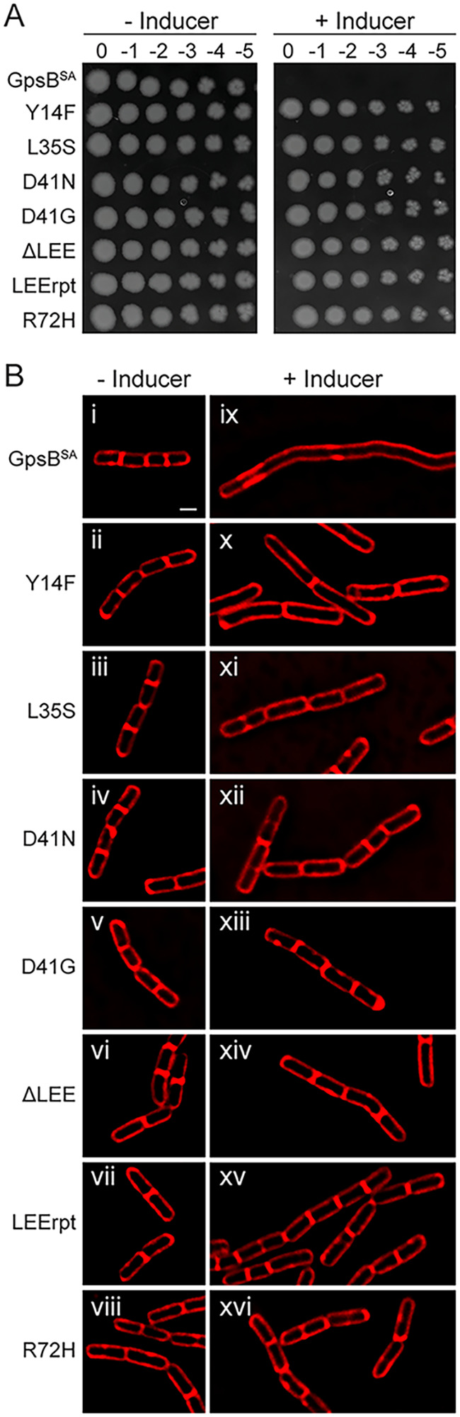 FIG 2