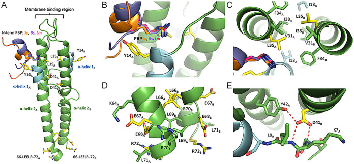 FIG 3